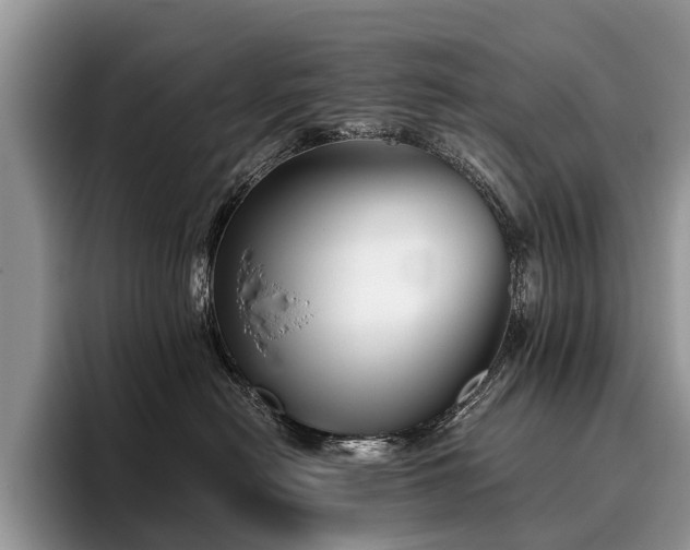 X0000096210478200801181434