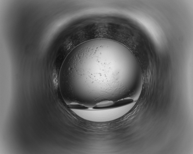 X0000096210479200801181434
