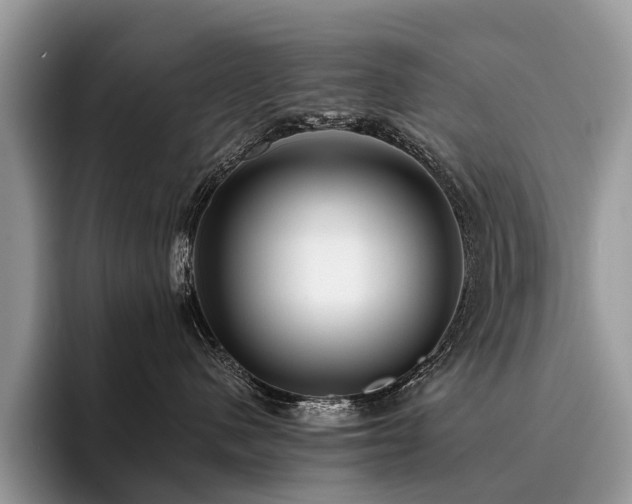 X0000096210480200801181434