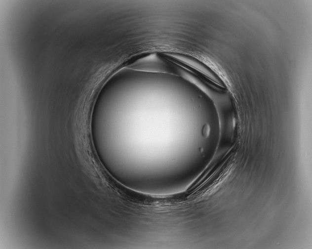 X0000096210481200801181433