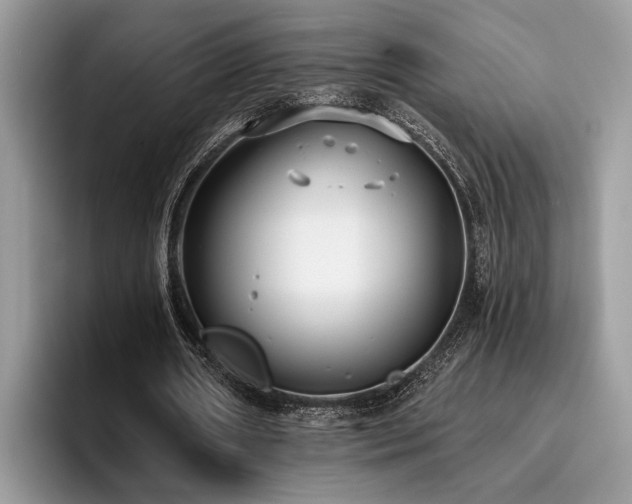 X0000096210482200801181433