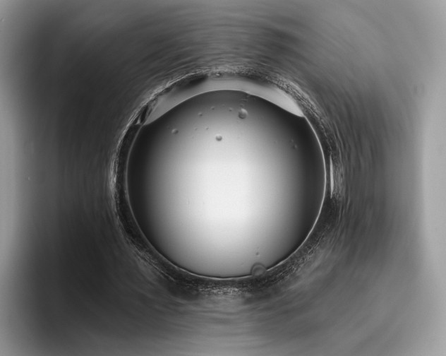 X0000096210483200801181433
