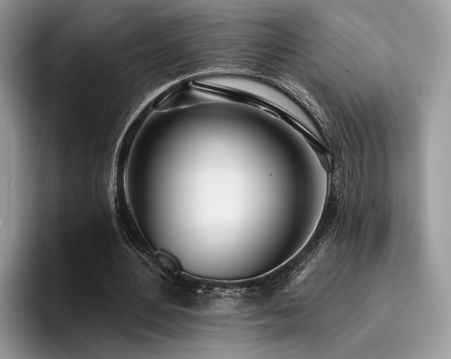 X0000096210484200801181433