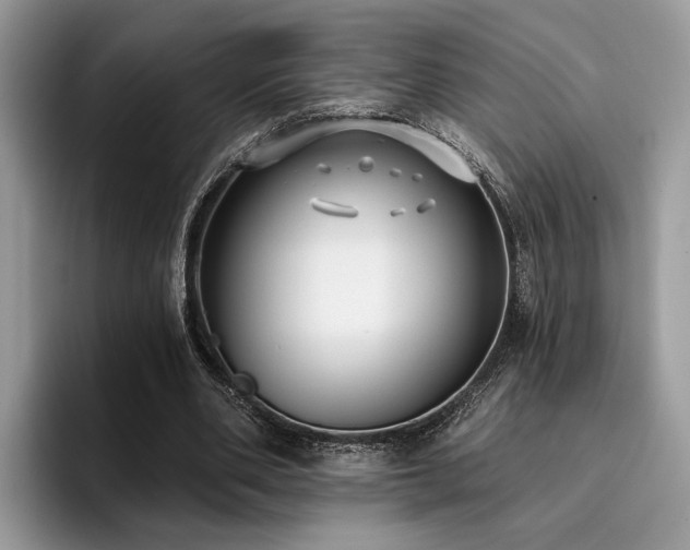 X0000096210486200801181433