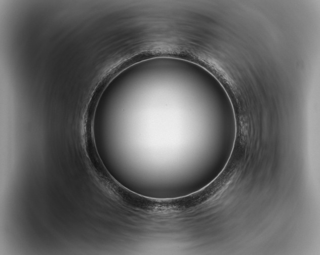 X0000096210487200801181433