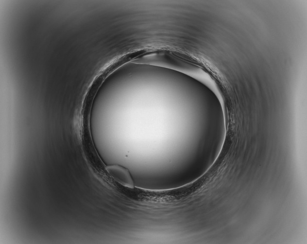 X0000096210488200801181433