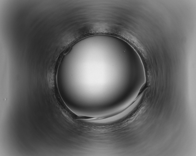 X0000096210489200801181433