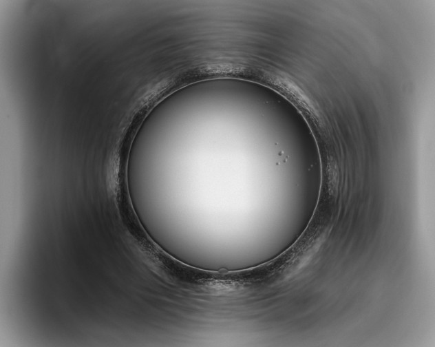 X0000096210490200801181433