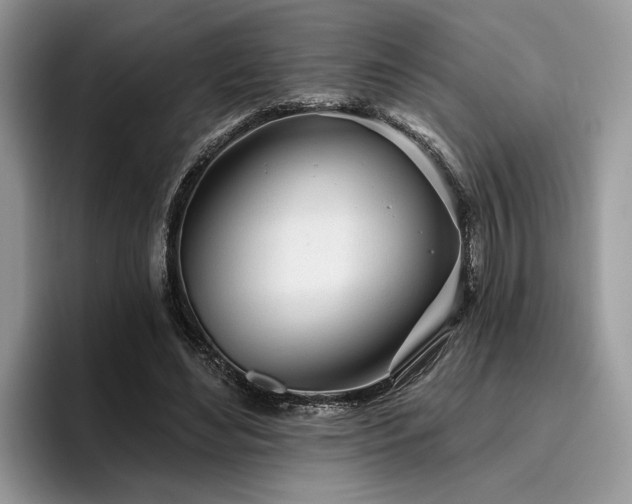 X0000096210492200801181433