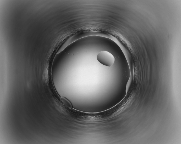X0000096210493200801181433