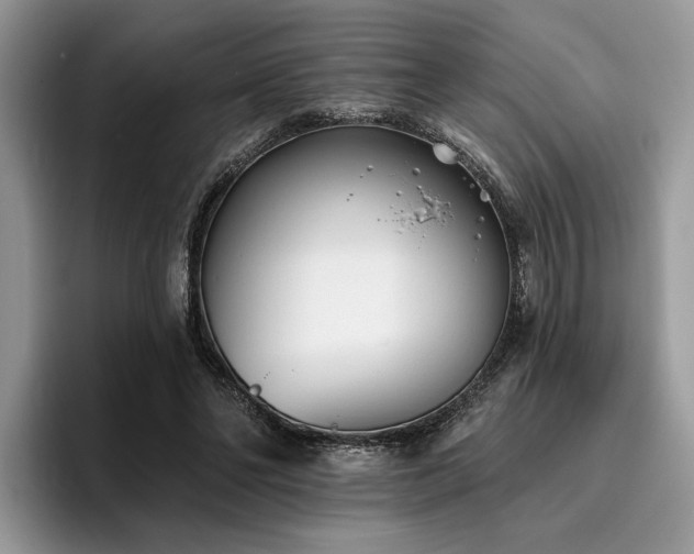 X0000096210494200801181433