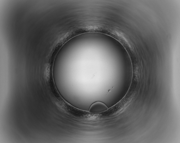 X0000096210495200801181433