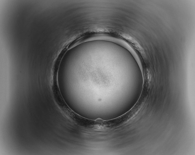 X0000096210496200801181433