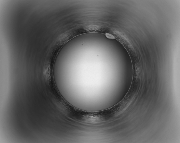 X0000096210498200801181433