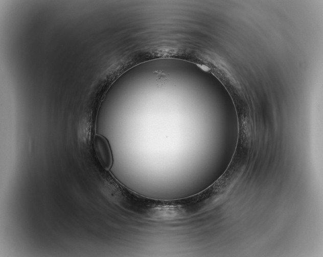 X0000096210499200801181433
