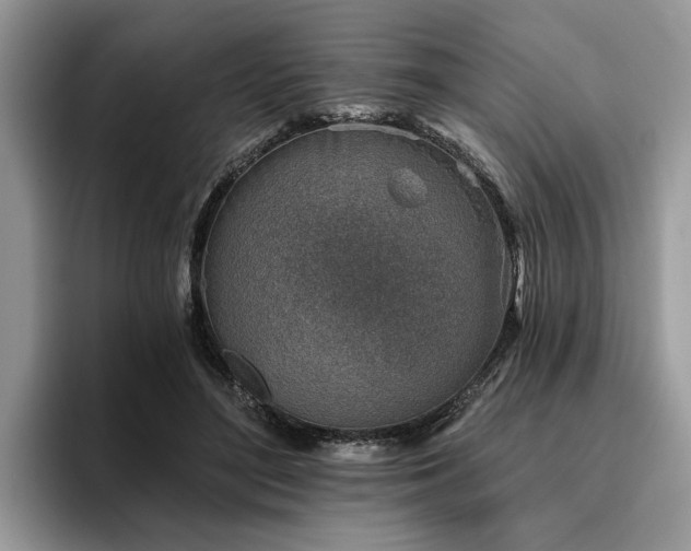 X0000096210500200801181433
