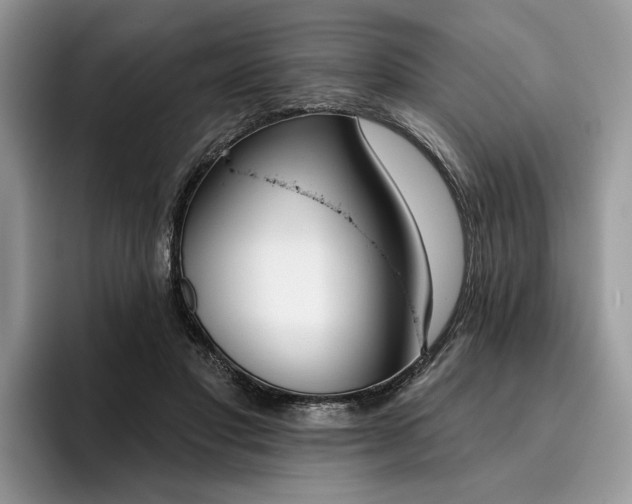 X0000096210501200801181433