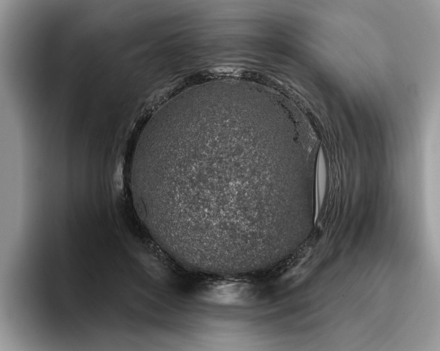 X0000096210504200801181433