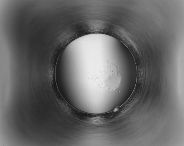 X0000096210505200801181433