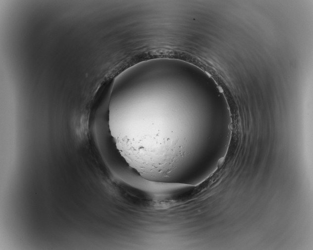 X0000096210508200801181433