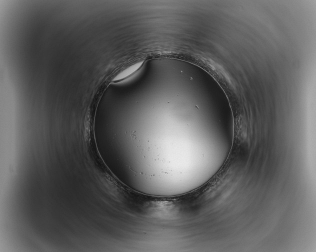 X0000096210509200801181433
