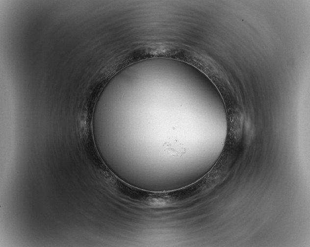 X0000096210510200801181433