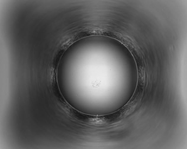 X0000096210511200801181433
