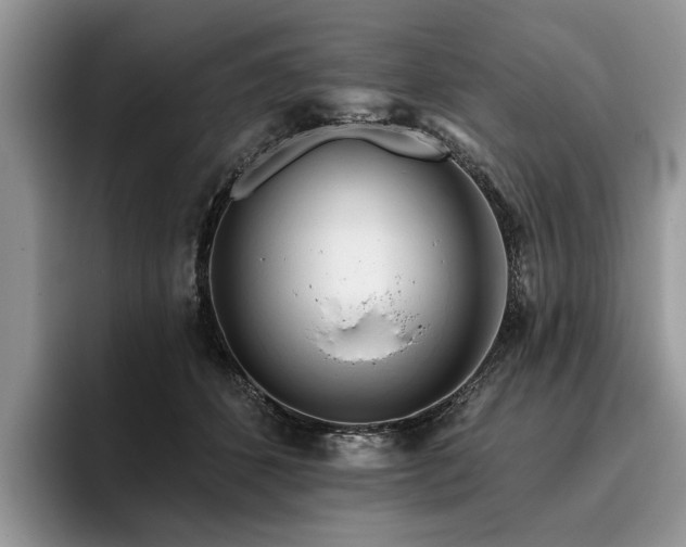 X0000096210512200801181433