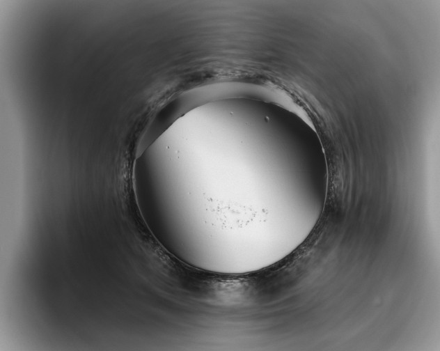 X0000096210513200801181433