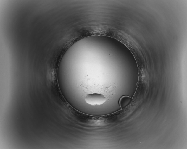 X0000096210514200801181433