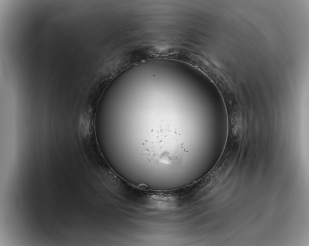 X0000096210515200801181433