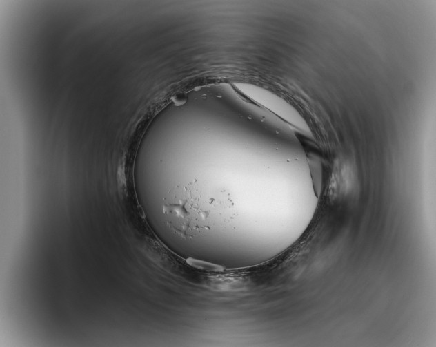 X0000096210516200801181433