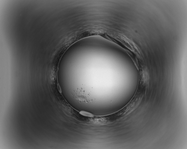 X0000096210517200801181433