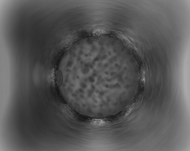 X0000096210519200801181433