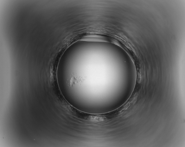 X0000096210520200801181433