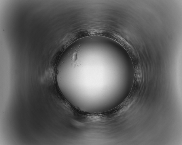 X0000096210523200801181433