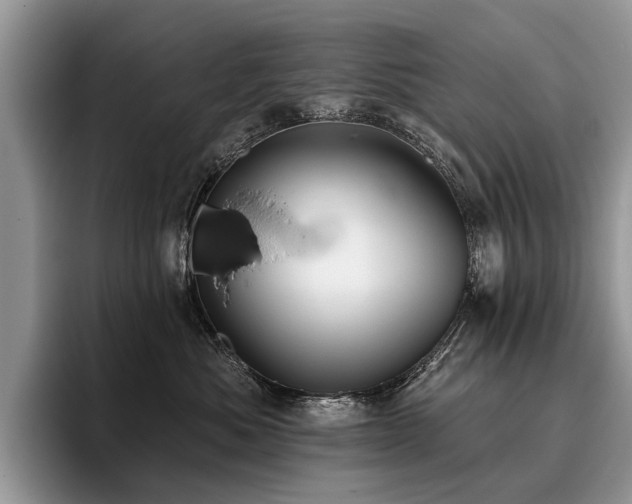 X0000096210525200801181433
