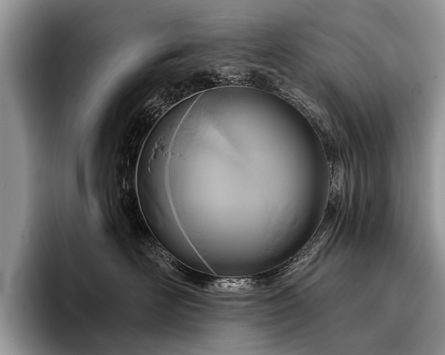 X0000096210526200801181433