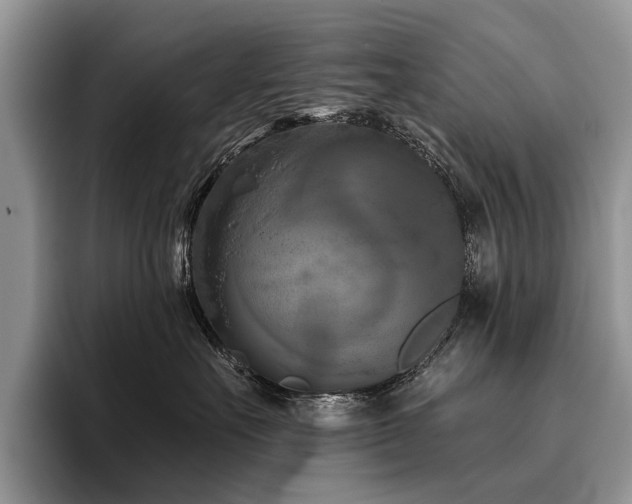 X0000096210527200801181433
