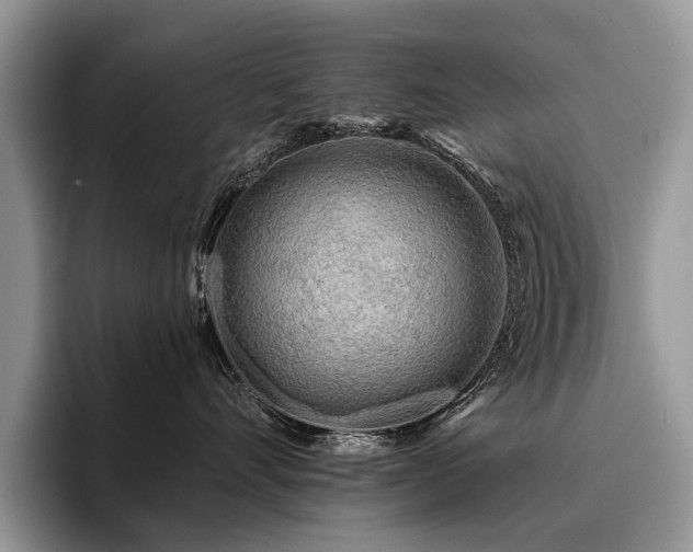X0000096210528200801181433