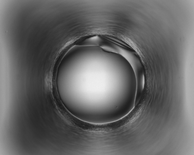 X0000096210530200801181432