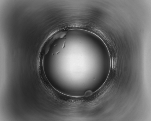 X0000096210531200801181432