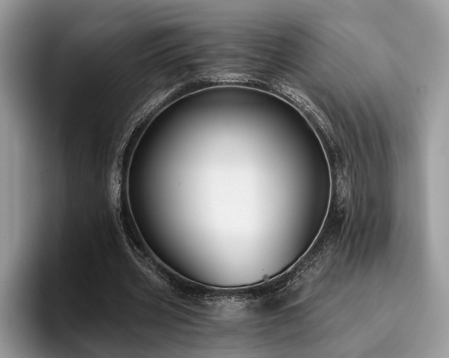 X0000096210533200801181432