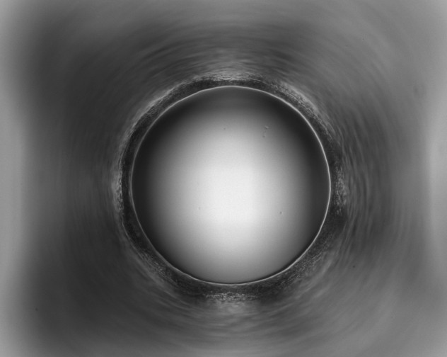 X0000096210535200801181432