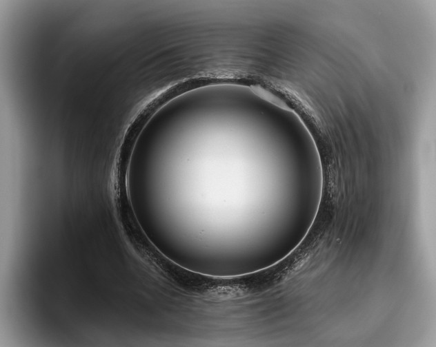 X0000096210536200801181432