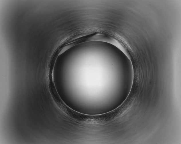 X0000096210538200801181432