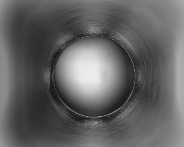 X0000096210542200801181432