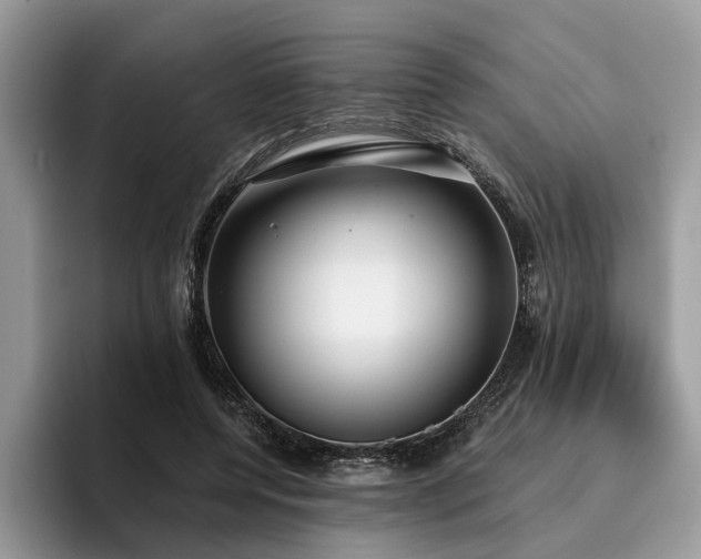 X0000096210544200801181432