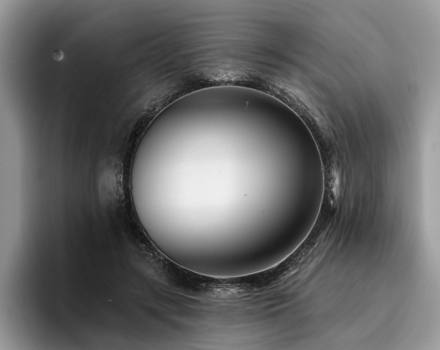 X0000096210547200801181432