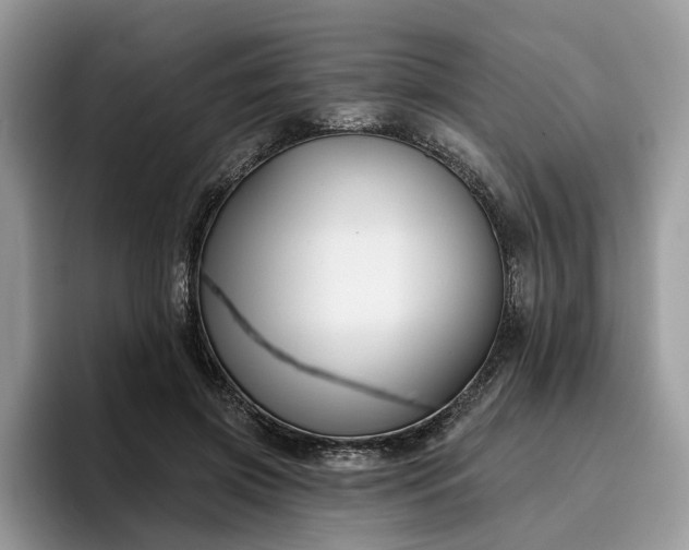 X0000096210549200801181432